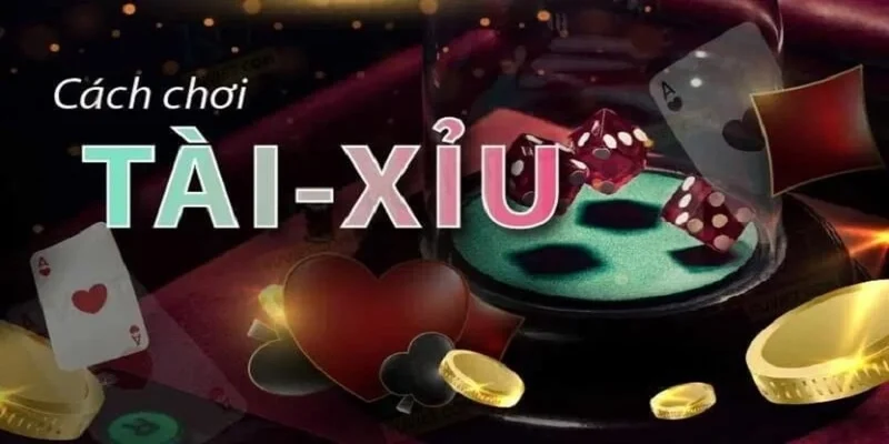 cách chơi tài xỉu luôn thắng